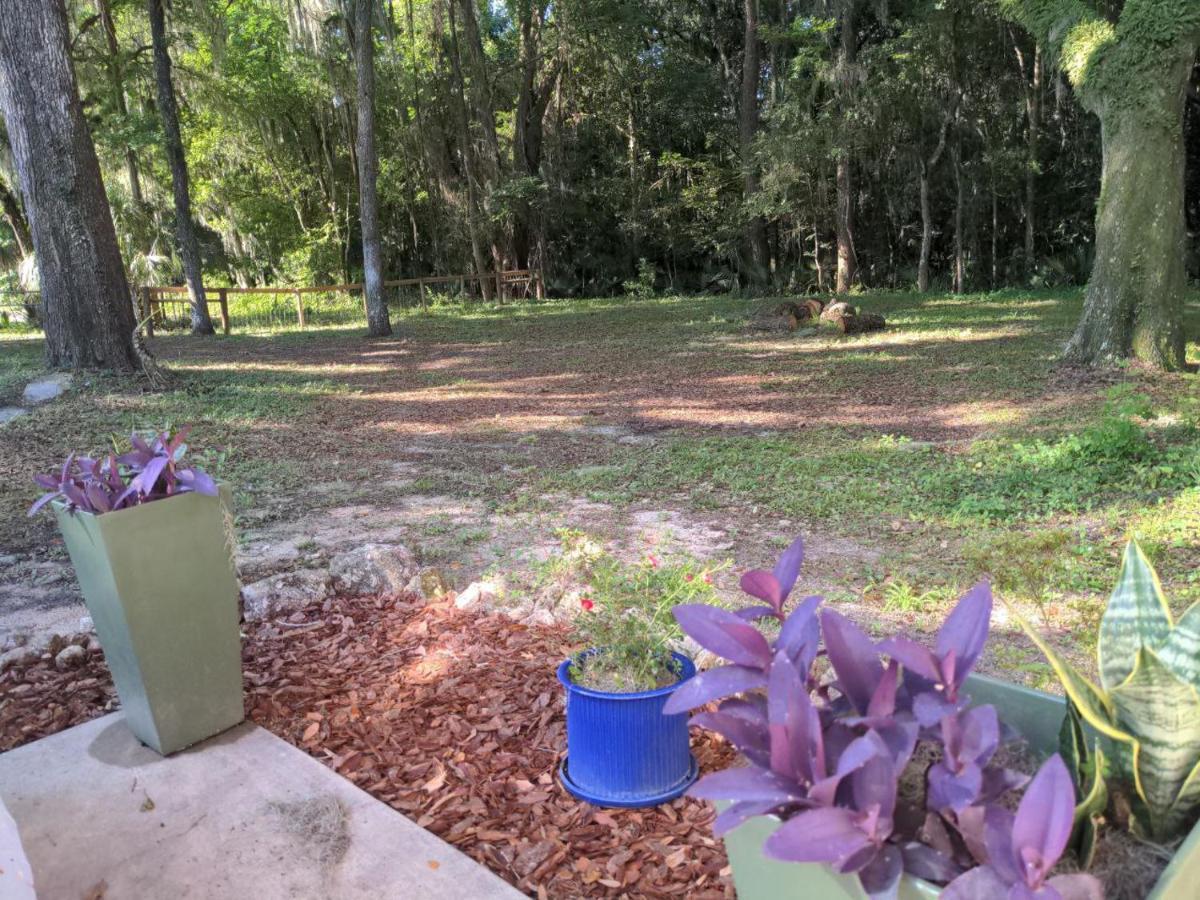 Micanopy Countyline Cottages Bagian luar foto